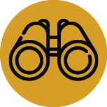 Safari icon