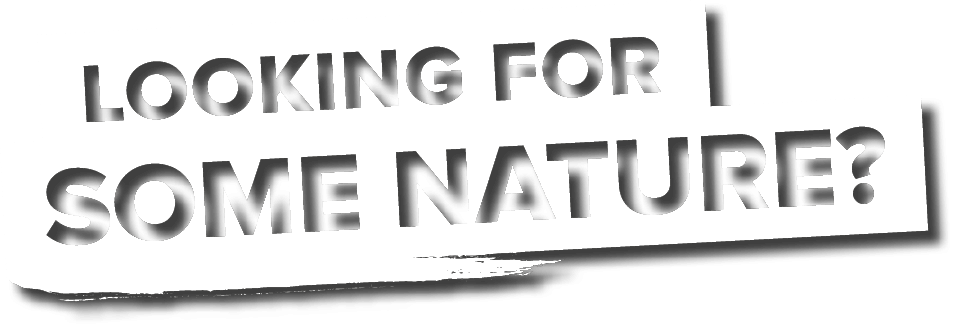 Looking for some nature